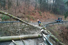 Sturmschaden 10.02.2020