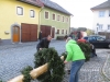 Maibaum 29042017 (12)
