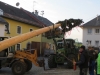 Maibaum 29042017 (16)
