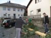 Maibaum 29042017 (9)